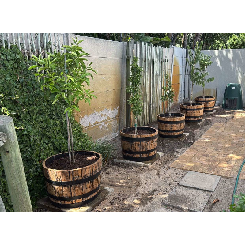 Wine Barrel Planter