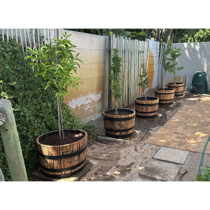 Wine Barrel Planter