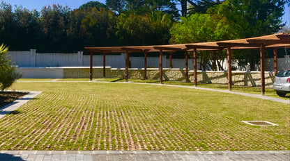 Grass Blocks